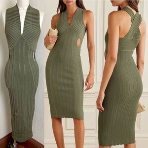 $980 Dion Lee Cutout Snake Effect MIDI Olive Ribbed Dress